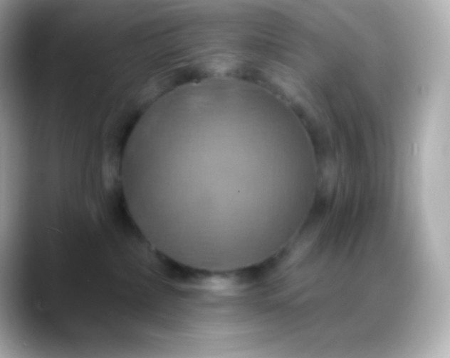 X0000088470236200706051348