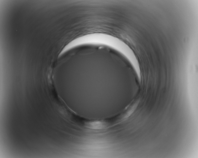 X0000088470237200706051348