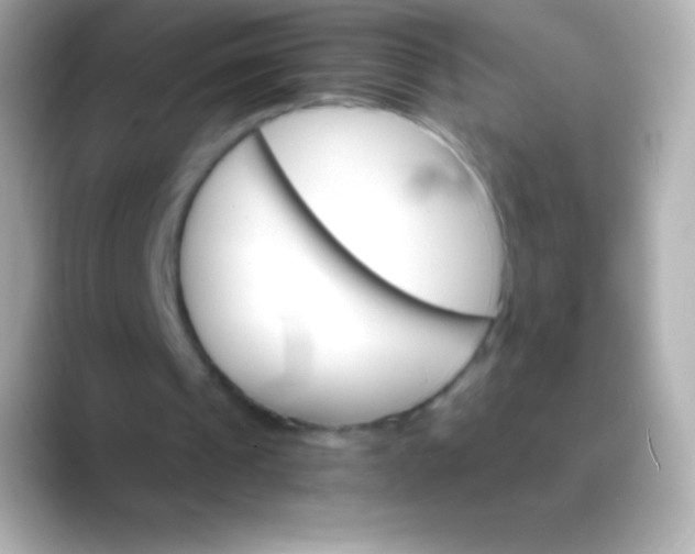 X0000088470241200706051347