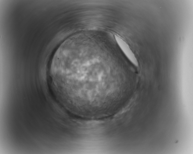 X0000088470242200706051347