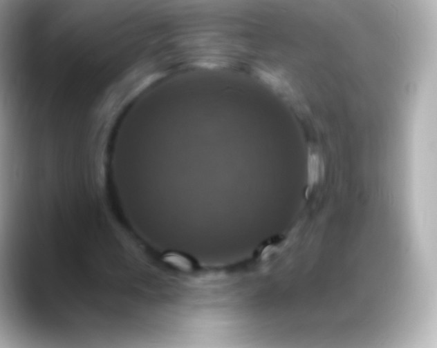 X0000088470243200706051347