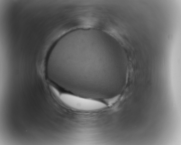 X0000088470244200706051347