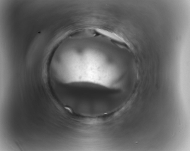 X0000088470245200706051347