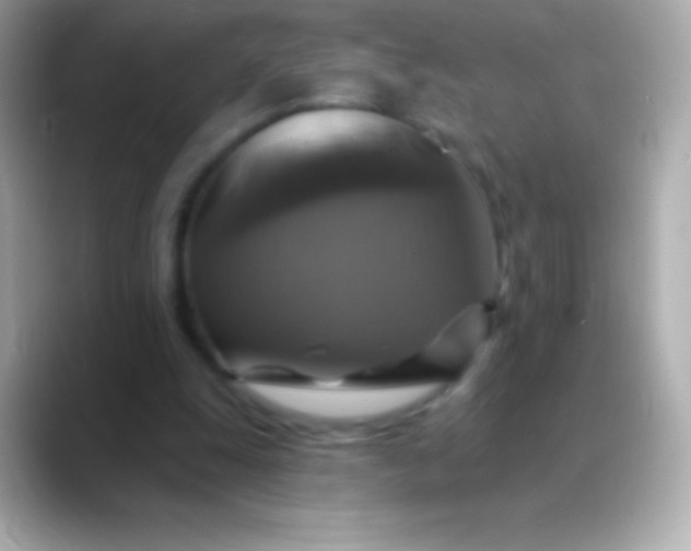 X0000088470247200706051347