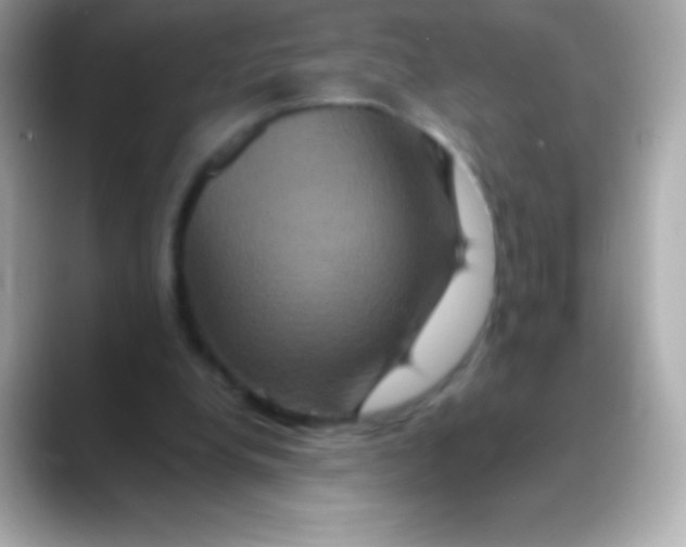 X0000088470248200706051347