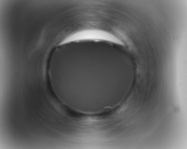 X0000088470250200706051347