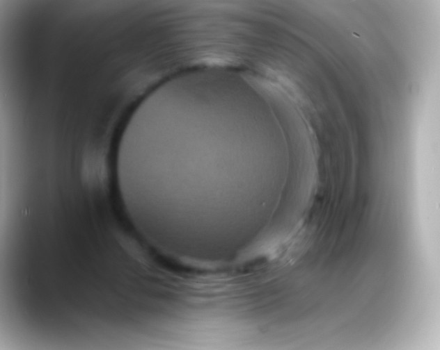 X0000088470252200706051347