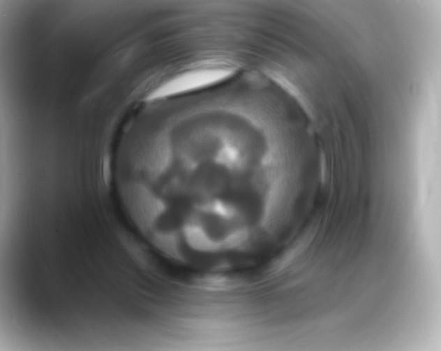 X0000088470253200706051347