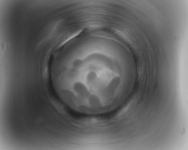 X0000088470254200706051347