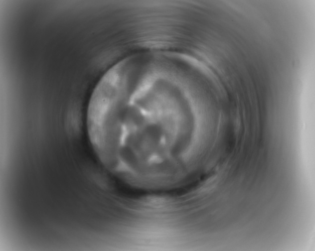 X0000088470255200706051347