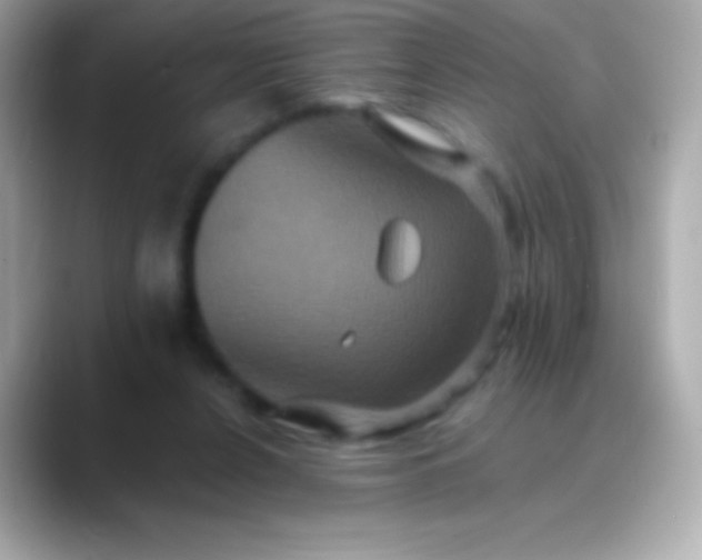 X0000088470256200706051348