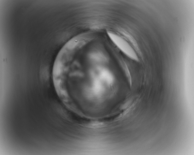 X0000088470257200706051348