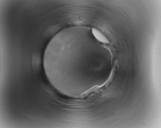 X0000088470260200706051348