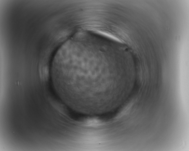 X0000088470262200706051348