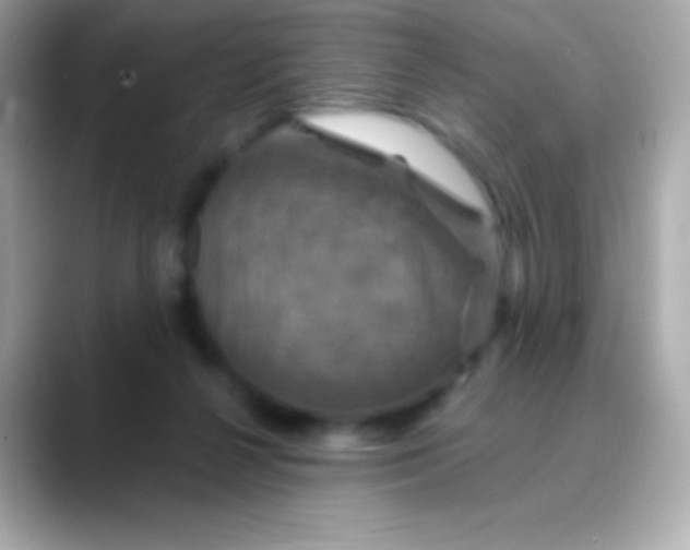 X0000088470264200706051348