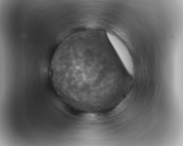 X0000088470265200706051348