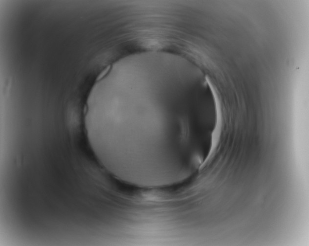 X0000088470268200706051348