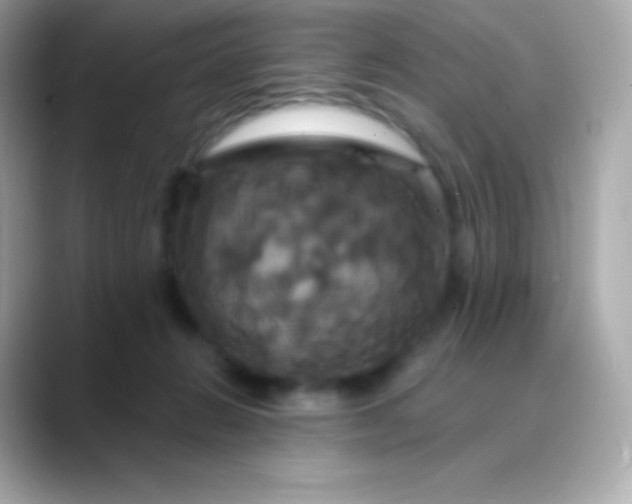 X0000088470270200706051348