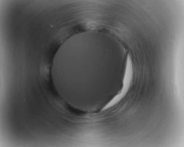 X0000088470271200706051348