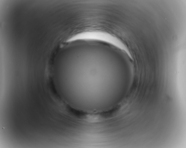 X0000088470272200706051348