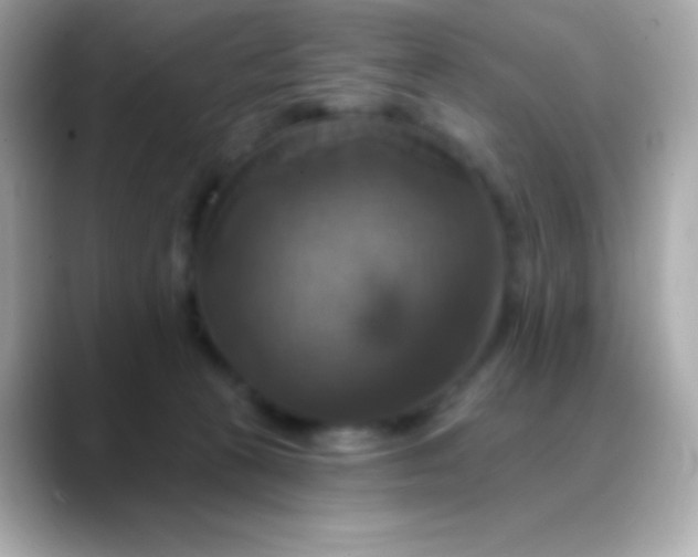 X0000088470273200706051348