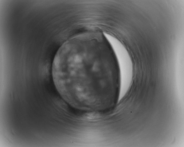 X0000088470275200706051348