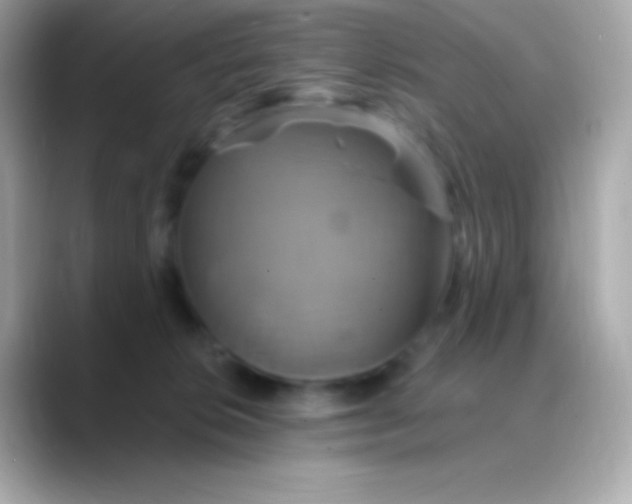 X0000088470276200706051348