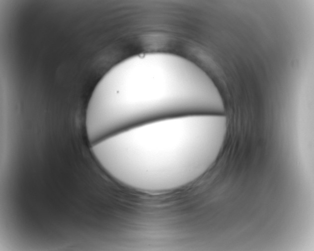 X0000088470277200706051348