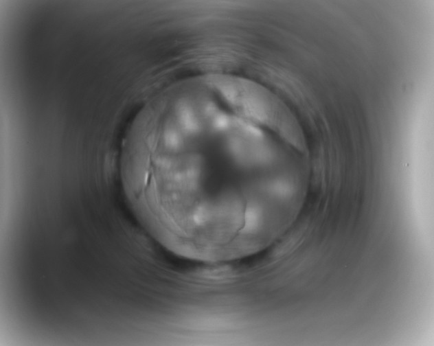 X0000088470278200706051348