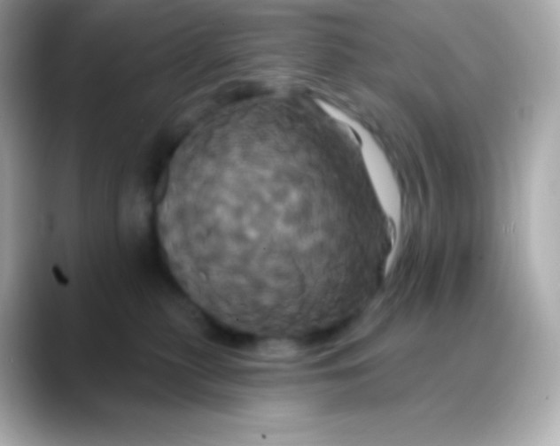 X0000088470279200706051348