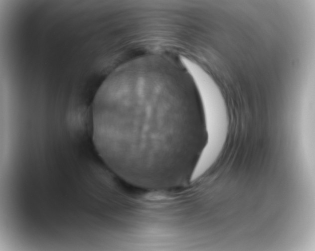 X0000088470280200706051348