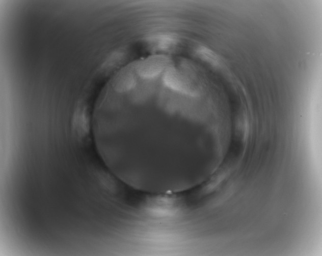 X0000088470282200706051348