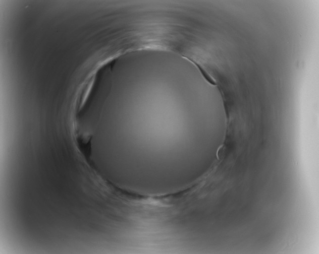 X0000088470290200706051347