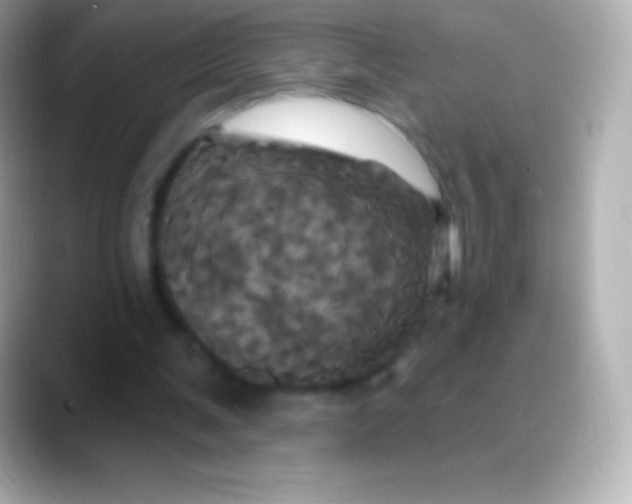 X0000088470291200706051347