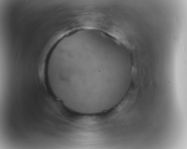 X0000088470292200706051347