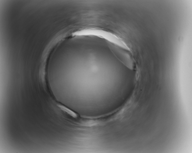 X0000088470293200706051347