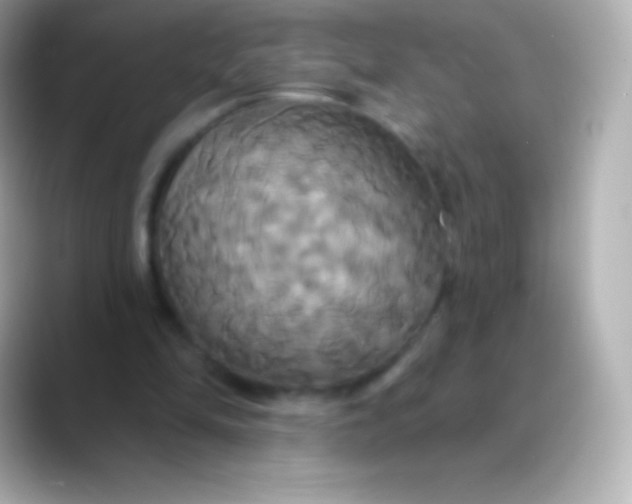 X0000088470294200706051347