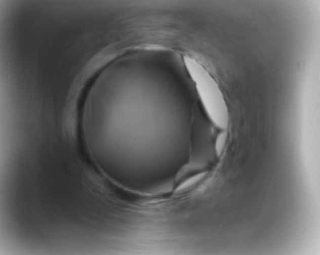 X0000088470295200706051347