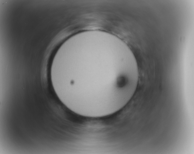 X0000088470296200706051347