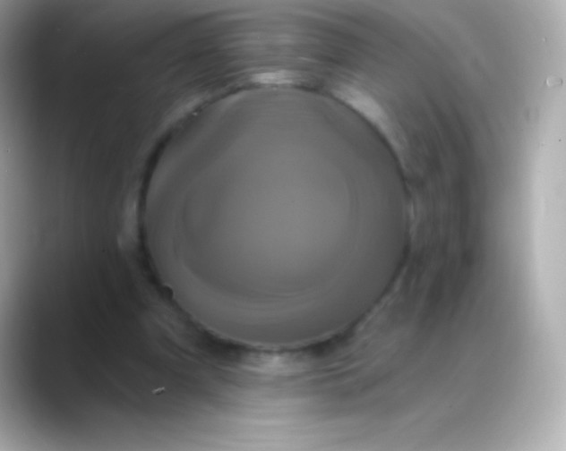 X0000088470297200706051347