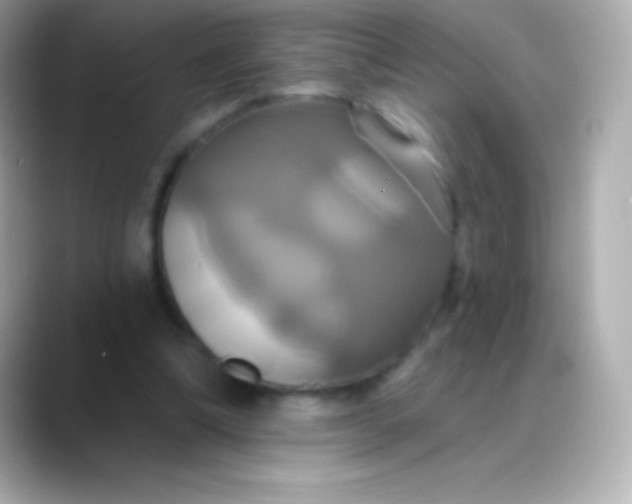 X0000088470298200706051347