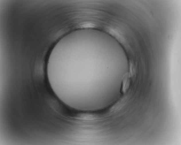 X0000088470300200706051347