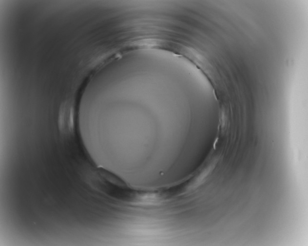 X0000088470301200706051347