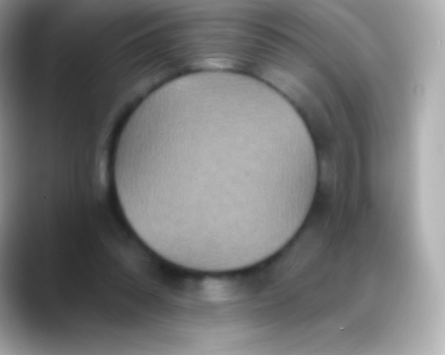 X0000088470302200706051347