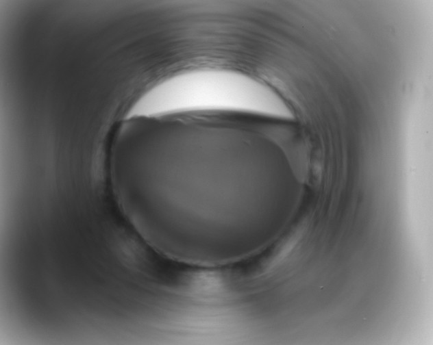 X0000088470303200706051347