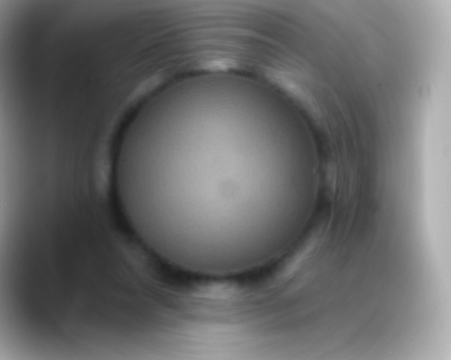 X0000088470304200706051347