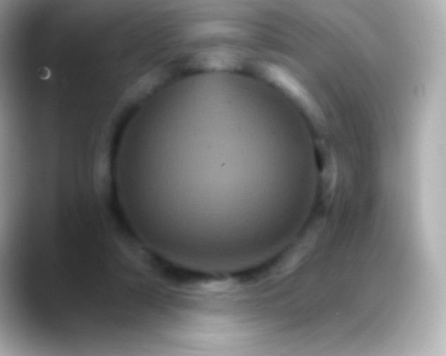 X0000088470306200706051347