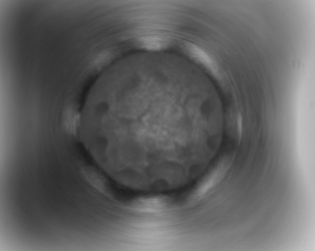 X0000088470307200706051347