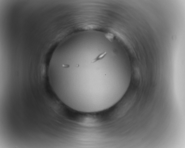 X0000088470308200706051347