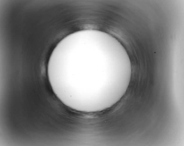 X0000088470310200706051347